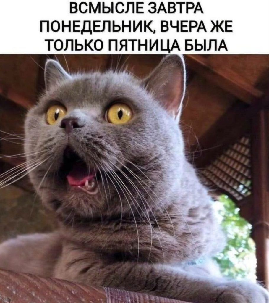 Новости Волжского: как поделиться информацией