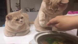 Новости Волжского: как поделиться информацией с горожанами