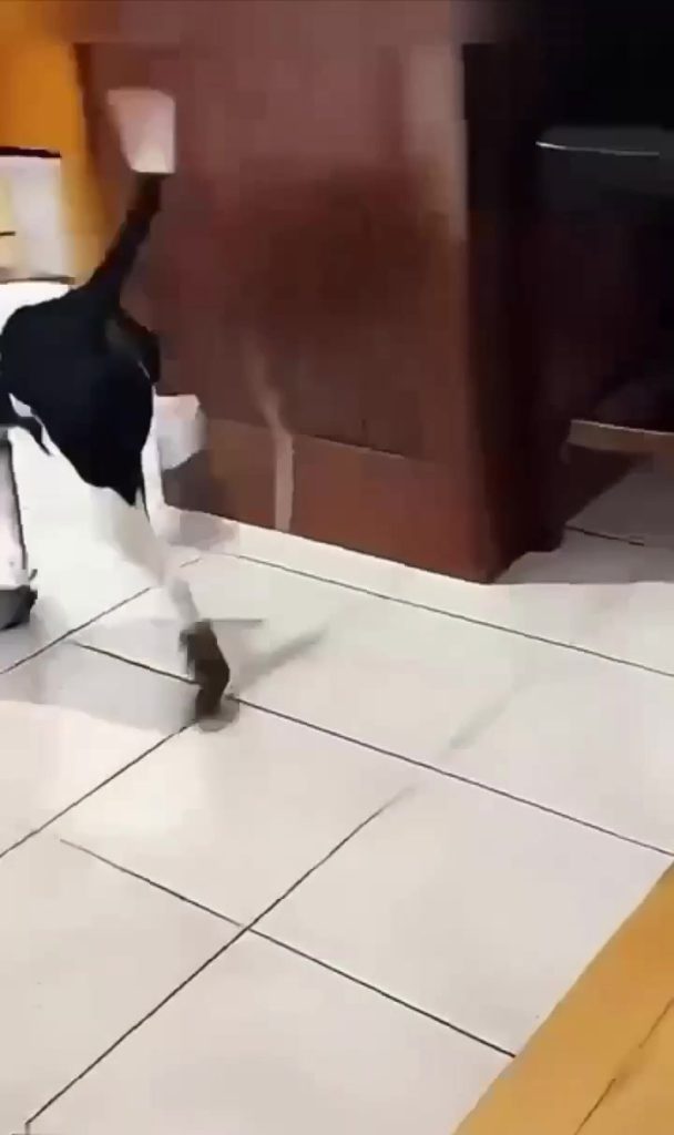 Новости Волжского: как поделиться информацией с горожанами