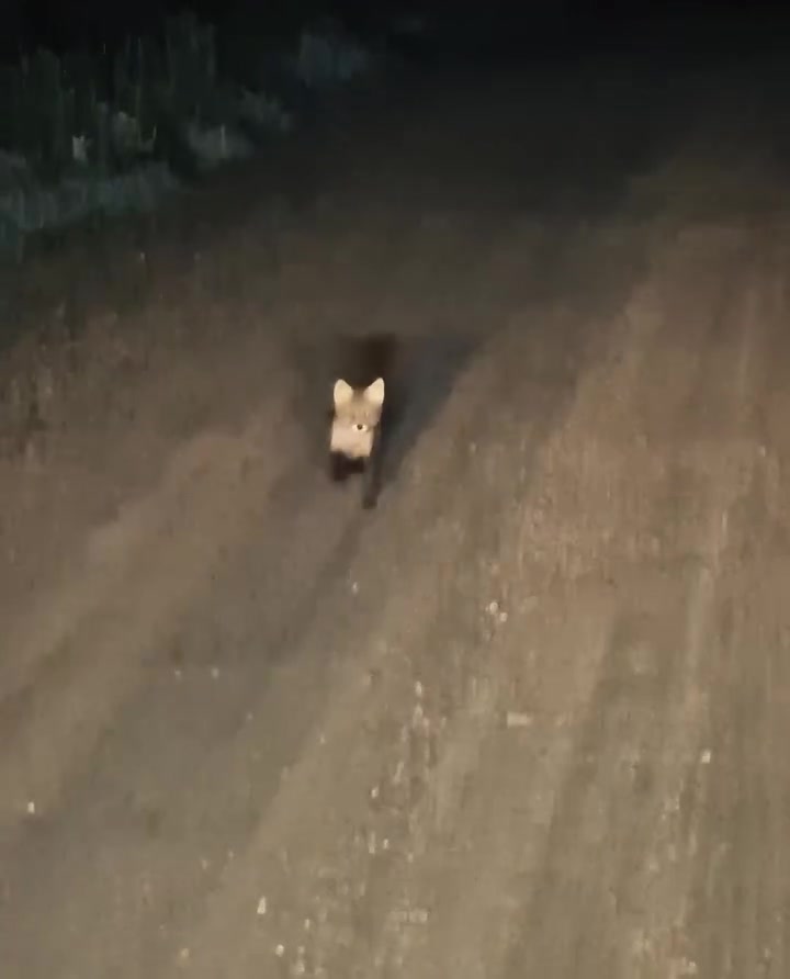 Жители Волжского могут делиться новостями анонимно