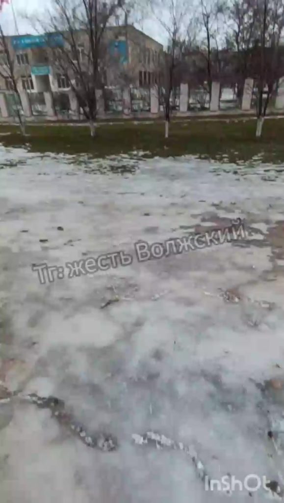 Жители 27 микрорайона Волжского возмущены неубранными отходами от домашних питомцев