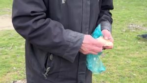 Жители дома на Александрова, 15 жалуются на голубиное нашествие