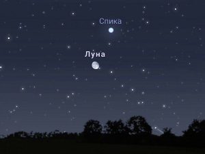 Ночное небо Волжского подарит зрелище: Луна встретится со Спикой