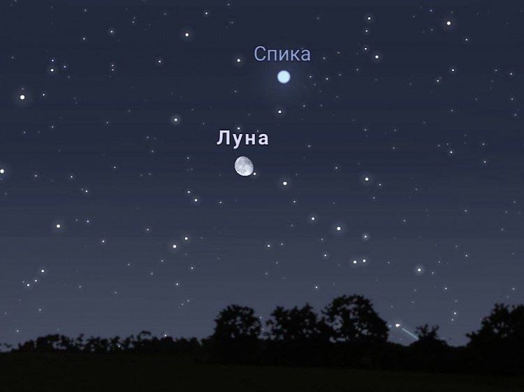 Ночное небо Волжского подарит зрелище: Луна встретится со Спикой