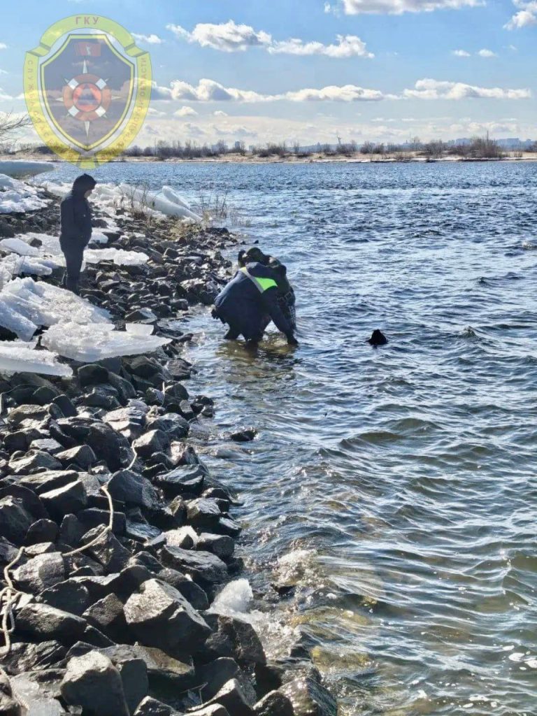 Завершены поиски пропавшего в Волжском: тело найдено в шлюзовой зоне