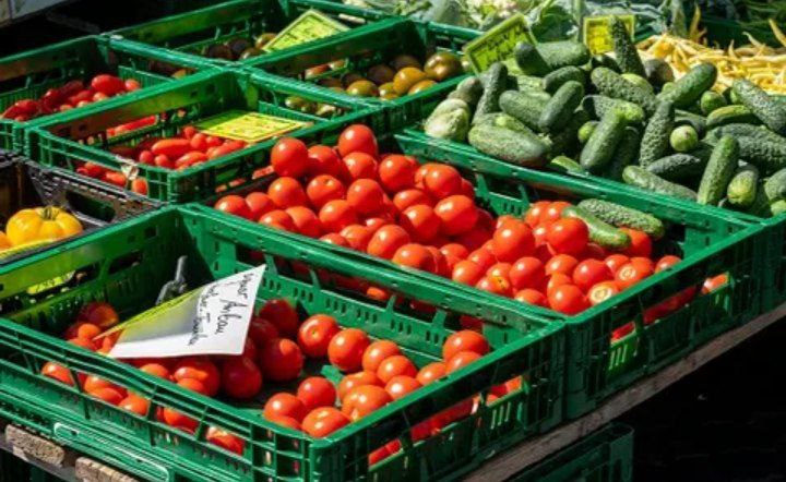 Эксперты подтвердили безопасность овощной продукции из Волжского