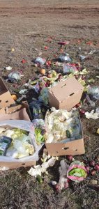 Экологический скандал в Волжском: за 14-м микрорайоном обнаружена свалка испорченных овощей