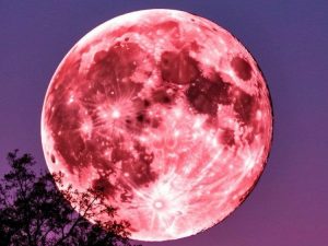 Розовая Луна осветит небо над Волжским в начале апреля