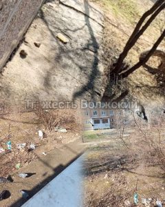 Жильцы дома на Нариманова жалуются на антисанитарию и нашествие тараканов