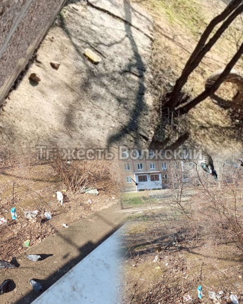 Жильцы дома на Нариманова жалуются на антисанитарию и нашествие тараканов