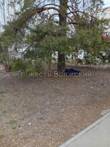 Стая собак в 9-м микрорайоне Волжского охраняет кормушку и нападает на машины