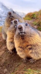 Доброе утро, Волжский! Начинаем день с позитива