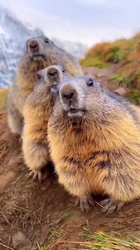 Доброе утро, Волжский! Начинаем день с позитива