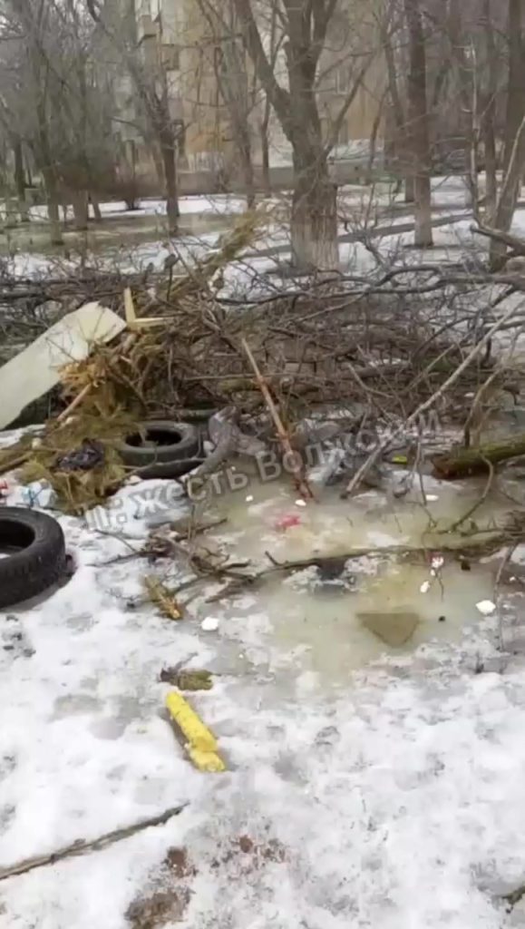 Ветки с прошлого года продолжают лежать во дворе дома на Карбышева