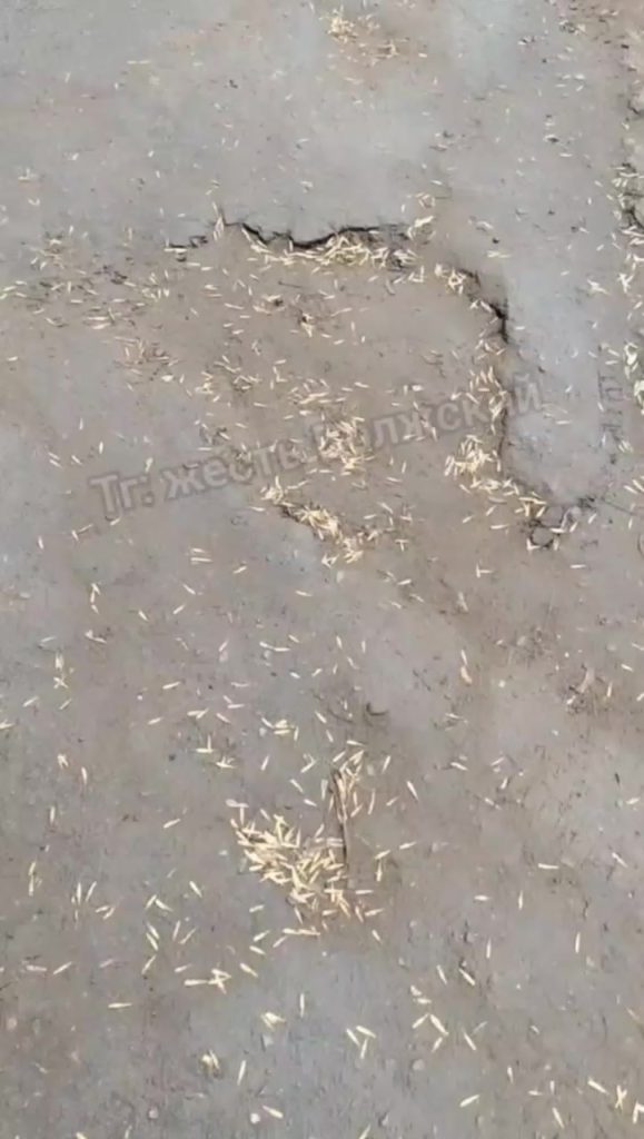 Двор на Карбышева превратился в полосу препятствий: жители пытаются чинить дорогу сами