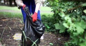 В Волжском стартовал весенний месячник чистоты и благоустройства