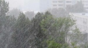 В Волгоградской области объявлен жёлтый уровень погодной опасности