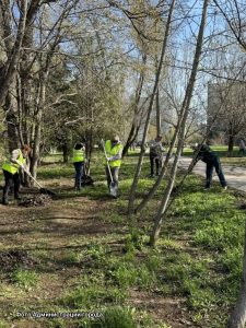 Волжские коммунальщики вышли на масштабный субботник