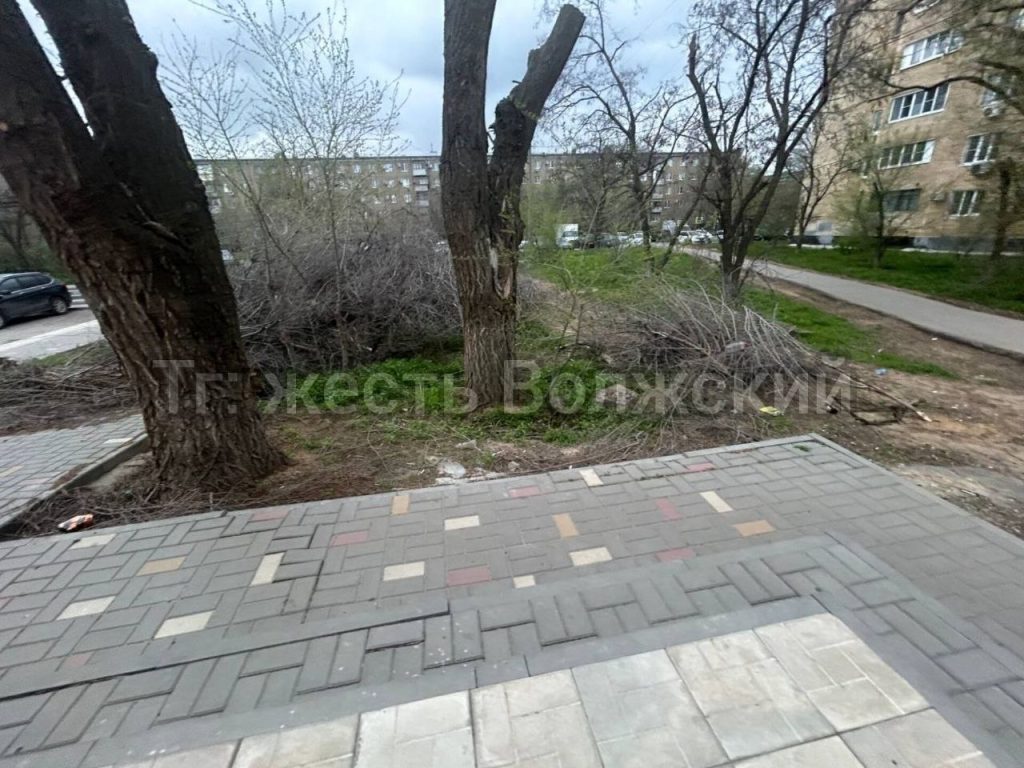 Опасный сухостой продолжает лежать в 18-м микрорайоне Волжского