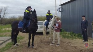 Конные патрули полиции обеспечивают безопасность в городах Волгоградской области