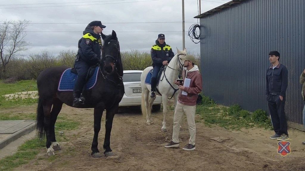 Конные патрули полиции обеспечивают безопасность в городах Волгоградской области