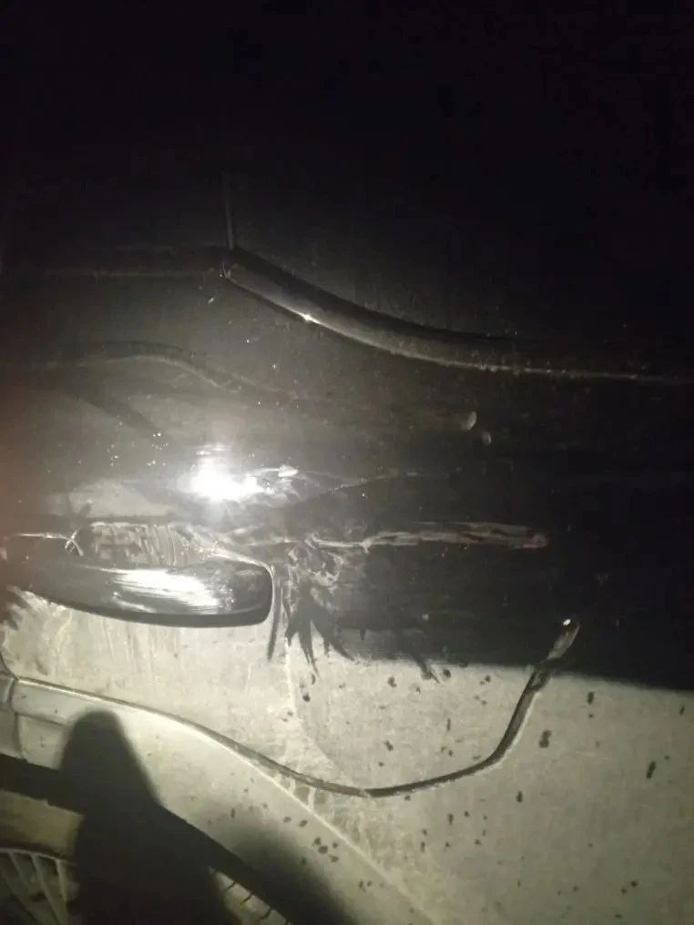 Волжские полицейские разбираются в ночном конфликте с избиением семьи