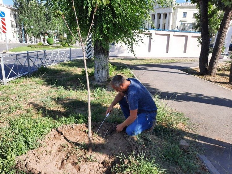 Полив парка «Новый город» в Волжском обойдется бюджету в 1,3 миллиона рублей