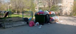 Мусорный коллапс на Энгельса 16: контейнеры не вывозят несколько дней, отходы разлетаются по двору