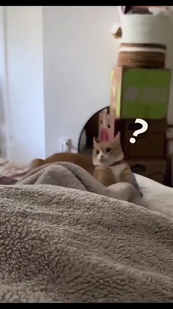 Новости Волжского: как поделиться информацией