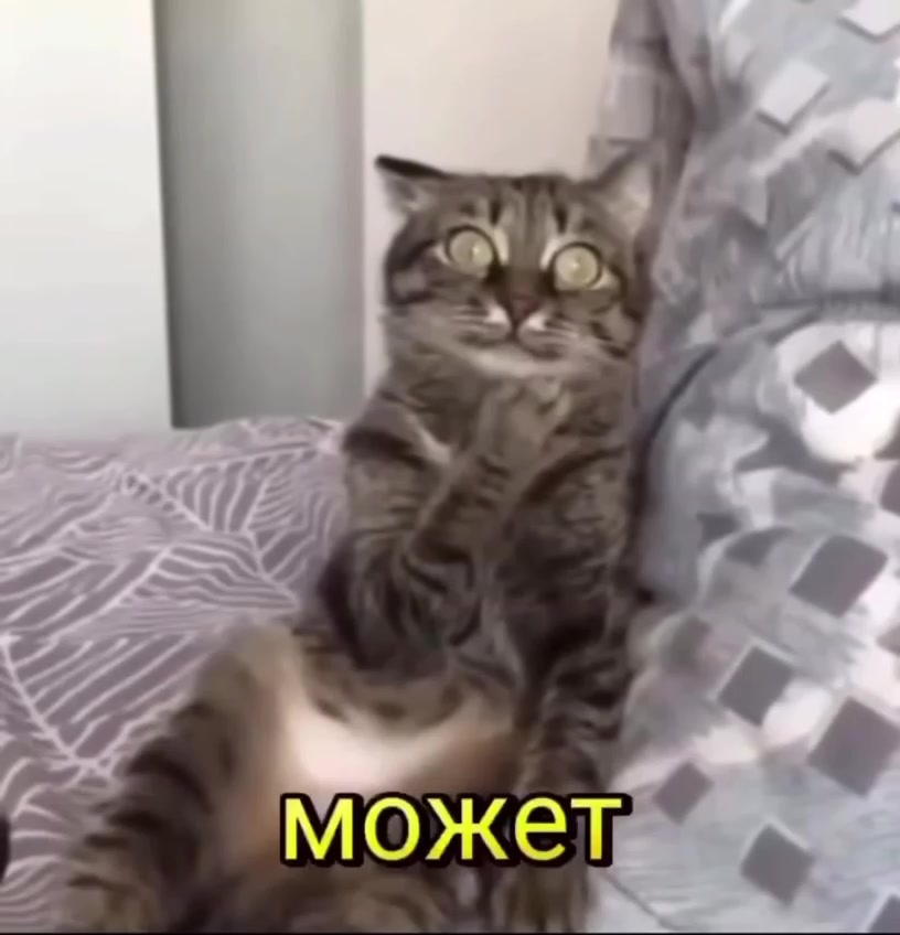 В Волжском ожидаются ночные заморозки до -3°C и мокрый снег