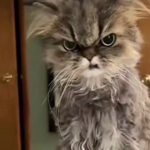 Волжане, доброе утро! Время творить и покорять вершины