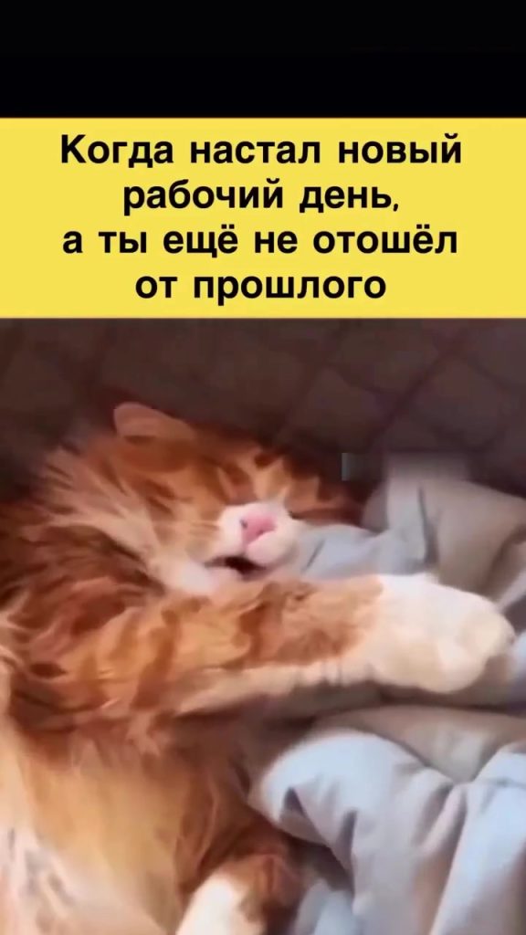 Волжский встречает новый день с улыбкой