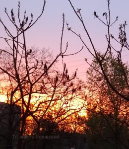Жители Волжского делятся фотографиями яркого заката