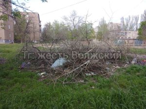 На Машиностроителей год не могут вывезти ветки: свалка растет рядом с детским садом