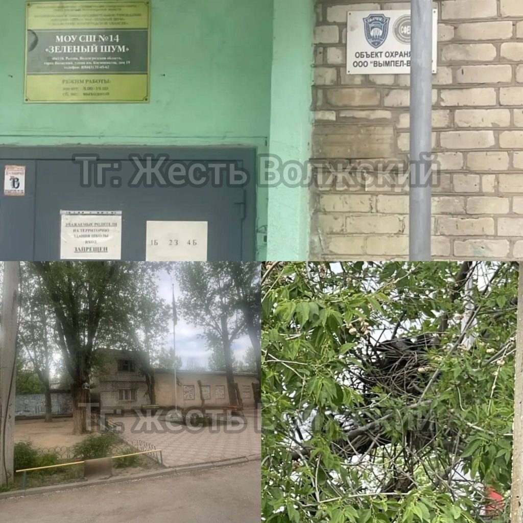 Вороны атакуют учеников школы №14 в Волжском: дети проводят перемены в здании