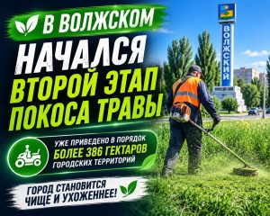 В Волжском приступили ко второму этапу покоса травы