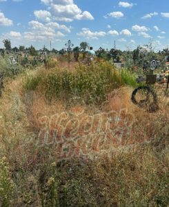 Сухая трава на кладбище №4 в Волжском создает угрозу пожара