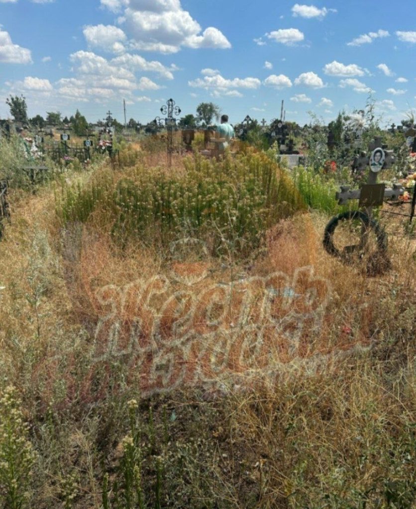 Сухая трава на кладбище №4 в Волжском создает угрозу пожара