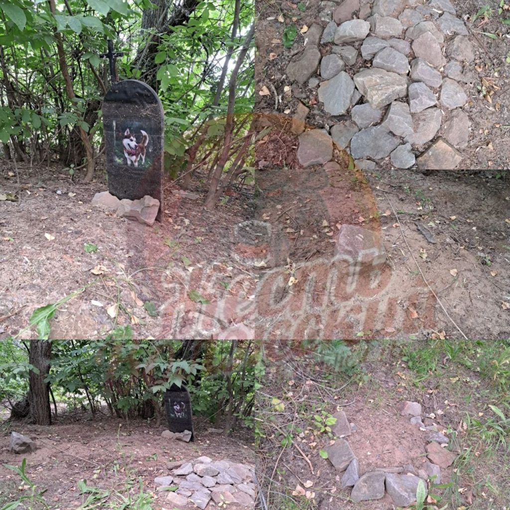 Несанкционированное захоронение животных на пляже в Волжском: угроза экологии и отдыху
