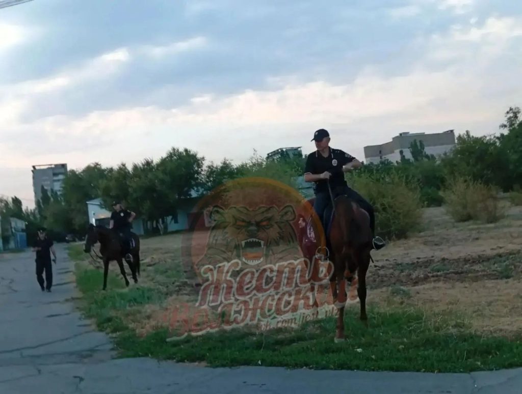 День города в Волжском: более 7 000 гостей и полная безопасность